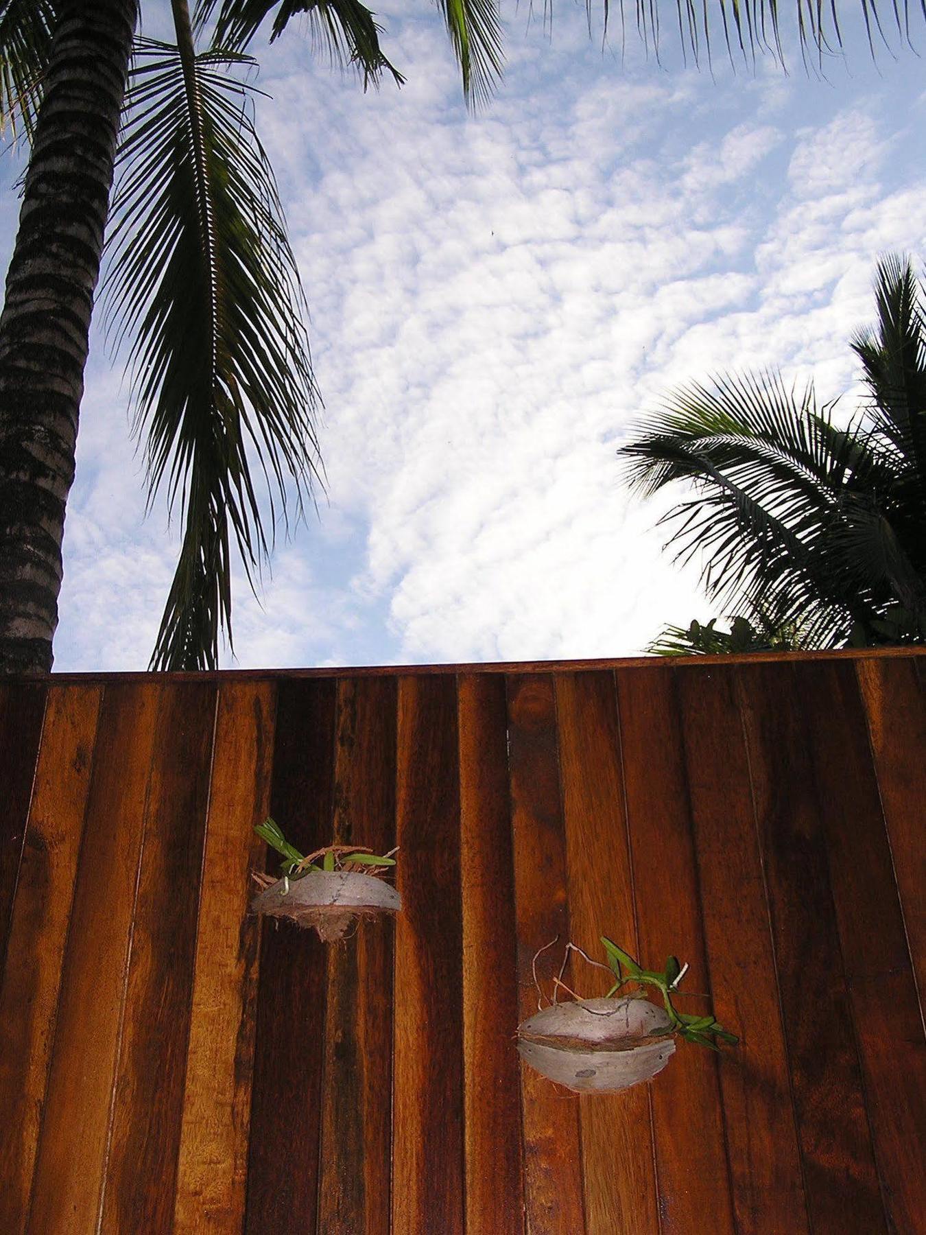 North Borneo Biostation Resort Kudat Exterior foto
